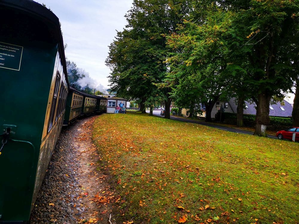 Der Oldtimerzug Rasende Roland fährt auf einer geschwungenen Strecke, die von grünem Gras und großen Bäumen mit ein paar heruntergefallenen Blättern gesäumt ist. Im Hintergrund sind unter dem wolkenverhangenen Himmel Rügens Häuser und ein rotes Auto zu sehen, die Volldampf-Nostalgie hervorrufen.