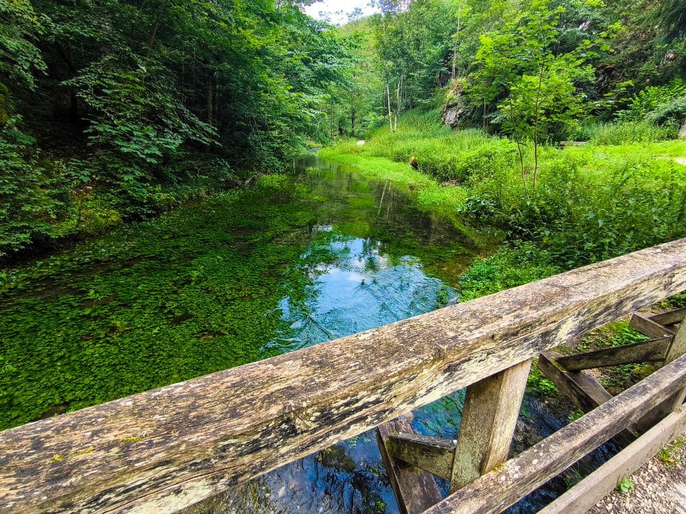 Eine verwitterte Holzbrücke überquert einen klaren, ruhigen Bach inmitten üppiger grüner Vegetation in der Nähe von Hayingen und schafft eine friedliche Naturkulisse, die sich perfekt für eine Wanderung im Glastal eignet.
