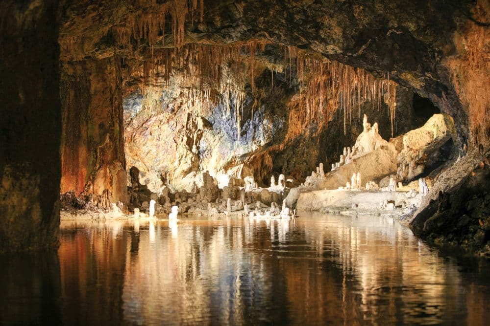 Im Inneren einer Höhle in Thüringen sind beeindruckende Stalaktiten und Stalagmiten zu sehen, die von warmem Licht beleuchtet werden. Die Formationen spiegeln sich im stillen, klaren Wasser, das den Höhlenboden bedeckt, und erzeugen eine ruhige und mystische Atmosphäre.
