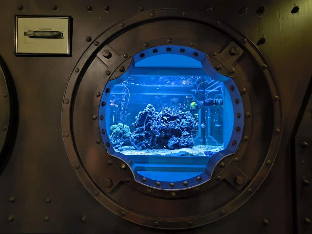 Ein großes, rundes Fenster mit Metallbolzen gibt den Blick frei auf ein beleuchtetes Aquarium mit farbenfrohen Korallen und tropischen Fischen, das an das einzigartige Ambiente der Lieblingsrestaurants auf der Insel Rügen erinnert, wenn man es aus einem schummrigen Raum betrachtet.