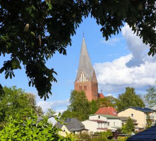 Ein hoher, spitzer Kirchturm in Neubukow erhebt sich über Bäumen und Häusern unter einem teilweise bewölkten blauen Himmel, eingerahmt von dunklen, belaubten Ästen im Vordergrund.