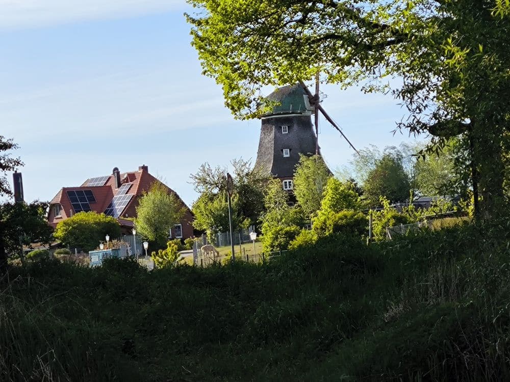 Eine traditionelle Windmühle steht zwischen Bäumen in der Nähe eines Hauses mit Solarzellen auf dem Dach in Neubukow, unter einem blauen Himmel mit leichten Wolken. Die üppige, grüne Landschaft suggeriert eine friedliche, ländliche Umgebung.