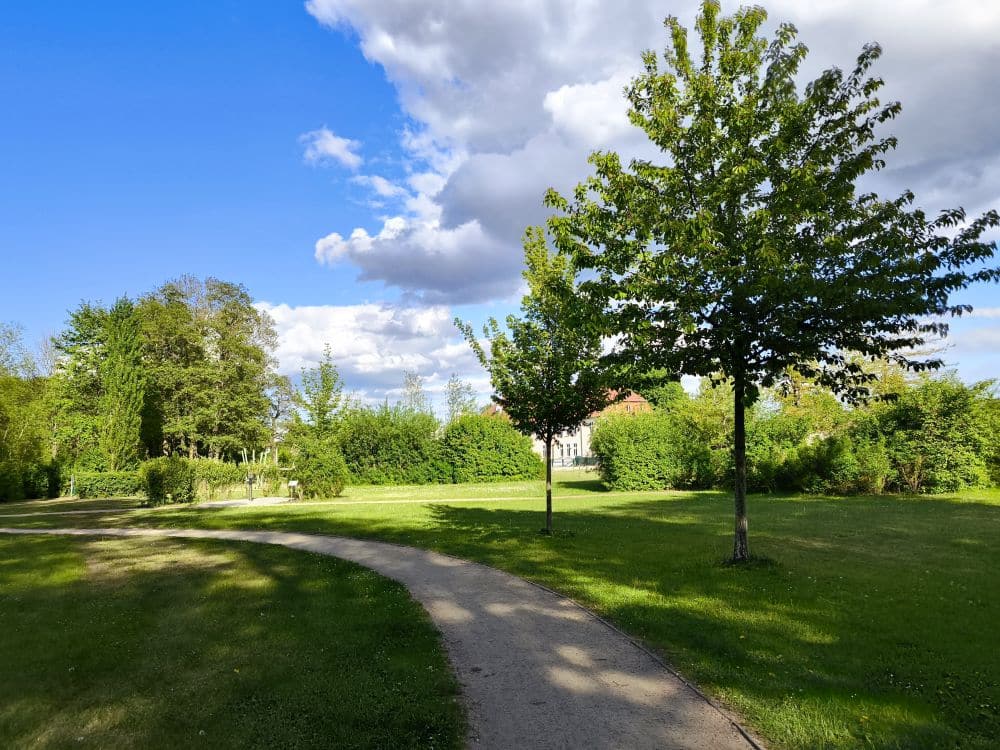 Ein gepflasterter Weg schlängelt sich durch einen grünen Park in Neubukow mit Bäumen und Sträuchern unter einem blauen Himmel, der mit weißen Wolken übersät ist. Das Sonnenlicht wirft Schatten auf das Gras und den Weg.