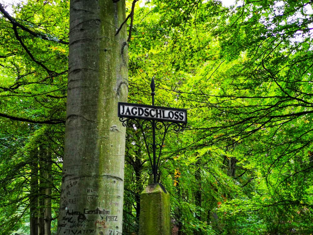 Ein Metallschild mit der Aufschrift JAGDSCHLOSS hängt an einem Pfosten, der an einem Baum in Rügens üppigem, grünen Wald befestigt ist. Das Sonnenlicht dringt durch die Blätter, leichte Schnitzereien markieren den Stamm und erinnern an Geschichten vom Rasenden Roland, der in der Nähe dampft.