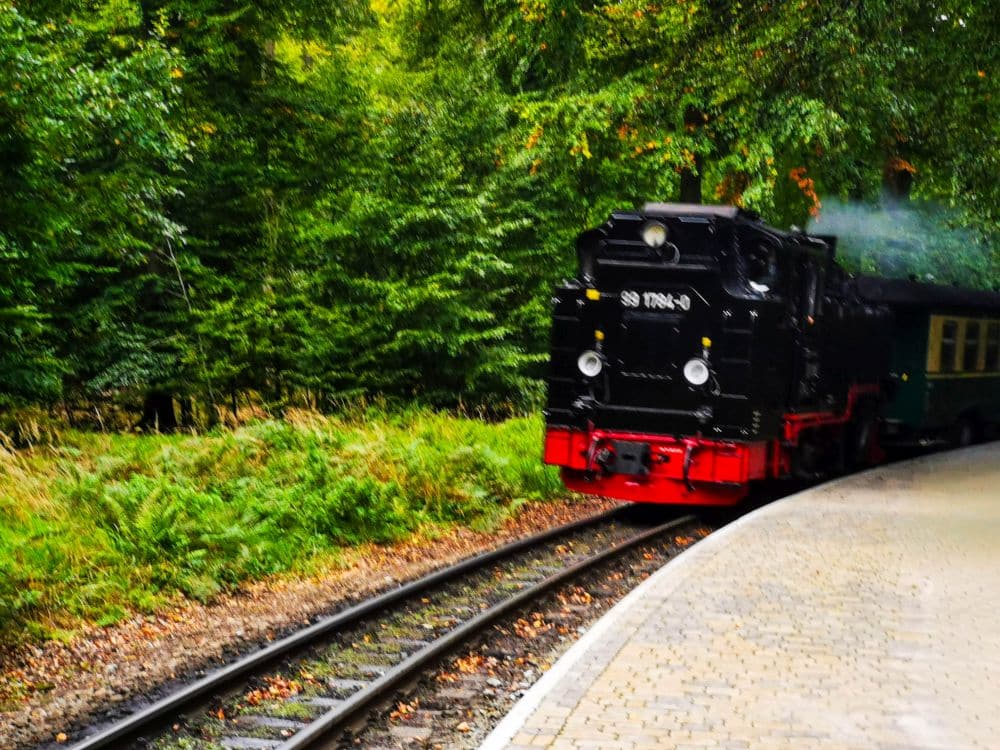 Der Rasende Roland, ein historischer schwarz-roter Volldampfzug, fährt auf geschwungenen Gleisen durch Rügens üppig grüne Wälder und nähert sich einem steinernen Bahnsteig.