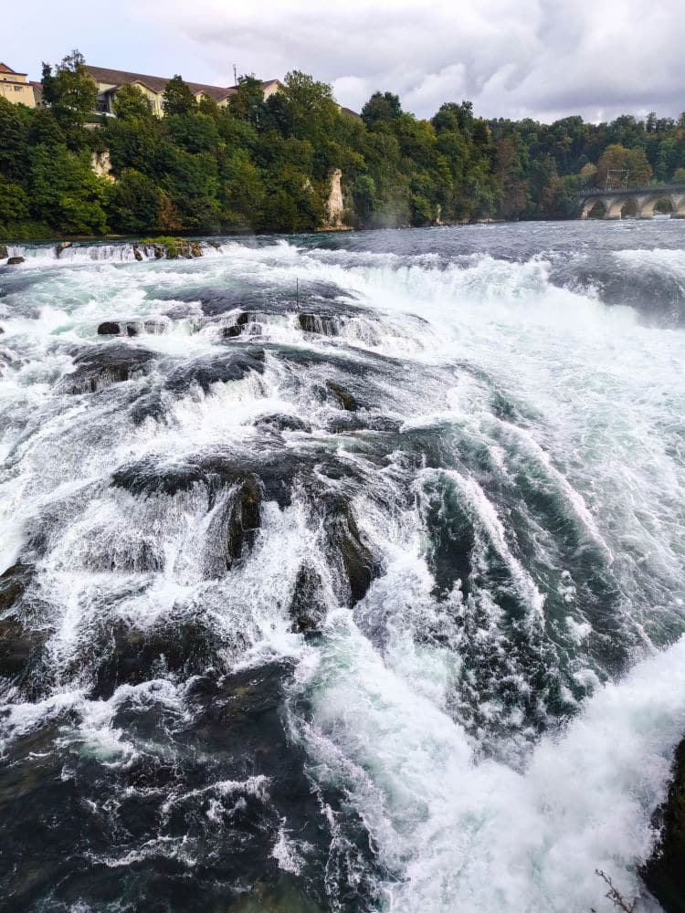Ein mächtiger Flusswasserfall, Europas größter Wasserfall - der Rheinfall bei Schaffhausen - stürzt über dunkle Felsen und erzeugt weißen Schaum und Nebel. Üppige grüne Bäume säumen das Ufer, links stehen Gebäude und in der Ferne eine Steinbogenbrücke.