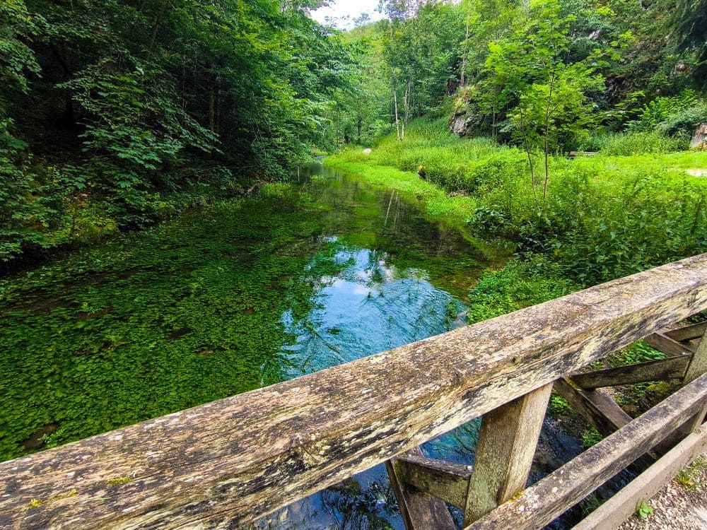 Eine rustikale Holzbrücke führt über einen klaren, grünen Teich bei Hayingen, umgeben von üppigem Grün und dichtem Wald. Die friedliche Szene ist Teil der Hochgehschätzt Wanderung Glastal, mit hohen Bäumen und schimmernden Spiegelungen im Wasser.