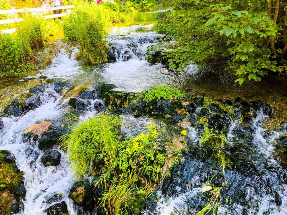 Ein kleiner Bach fließt über Felsen, die mit leuchtend grünem Moos und Pflanzen bedeckt sind, im Glastal bei Hayingen, umgeben von üppigem Grün und Bäumen. Das Sonnenlicht dringt durch die Blätter und schafft eine friedliche Szenerie, die perfekt für eine Wanderung ist.