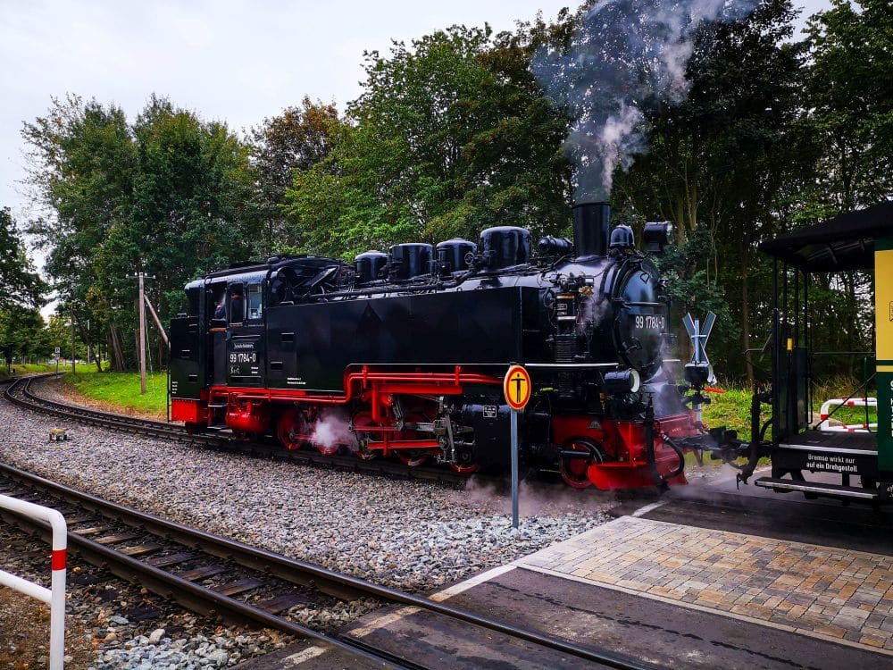 Eine schwarz-rote Rasende Roland-Dampflokomotive stößt Dampfwolken auf den Gleisen in der Nähe eines Bahnübergangs aus, umgeben vom üppigen Grün Rügens. Im Vordergrund sind ein Teil eines Waggons und ein gelbes Schild zu sehen.
