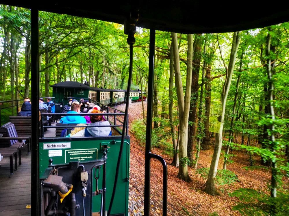 Die Dampfeisenbahn Rasende Roland schlängelt sich unter freiem Himmel durch Rügens üppigen, grünen Wald und kurvt auf einem schmalen Gleis, gesäumt von Laubbäumen und einem Teppich aus abgefallenen Blättern, dahin.