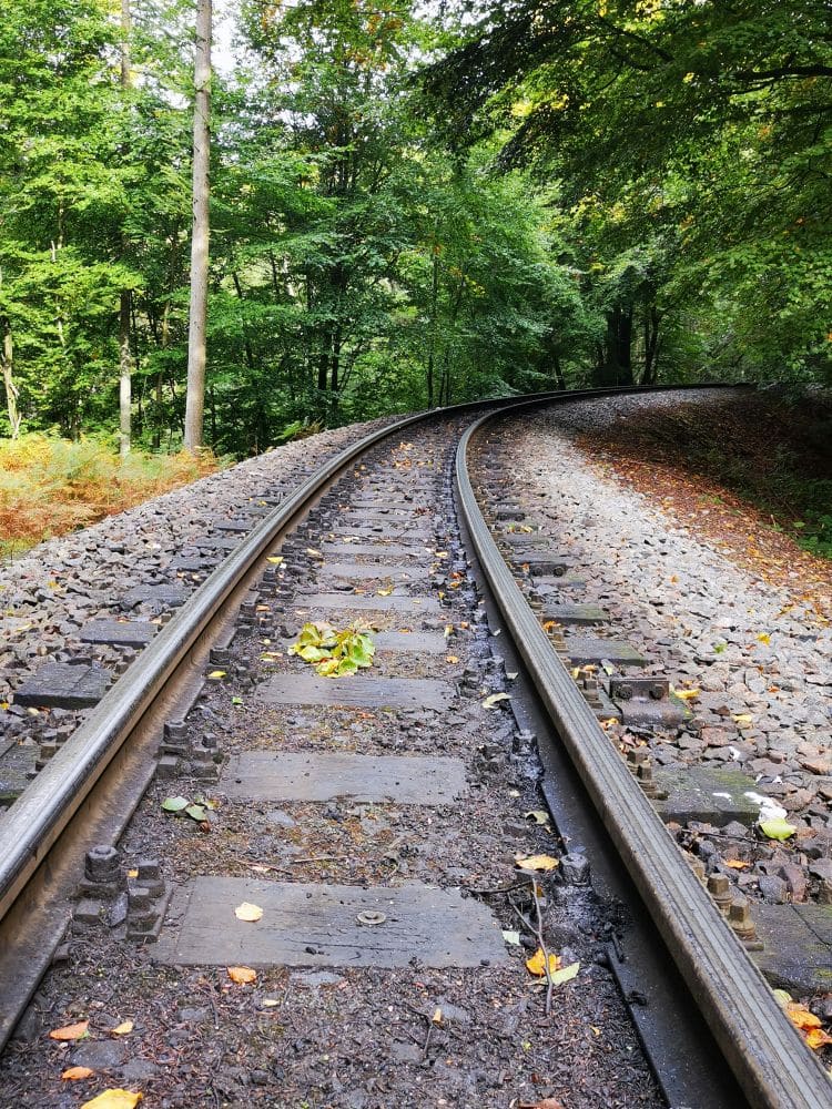 Geschwungene Bahngleise auf Rügen, umgeben von dichten grünen Bäumen und Laub, mit verstreuten Blättern und Steinen unter einem halbschattigen Walddach - so lässt sich die landschaftlich reizvolle Strecke des historischen Rasenden Rolands perfekt im Volldampf einfangen.