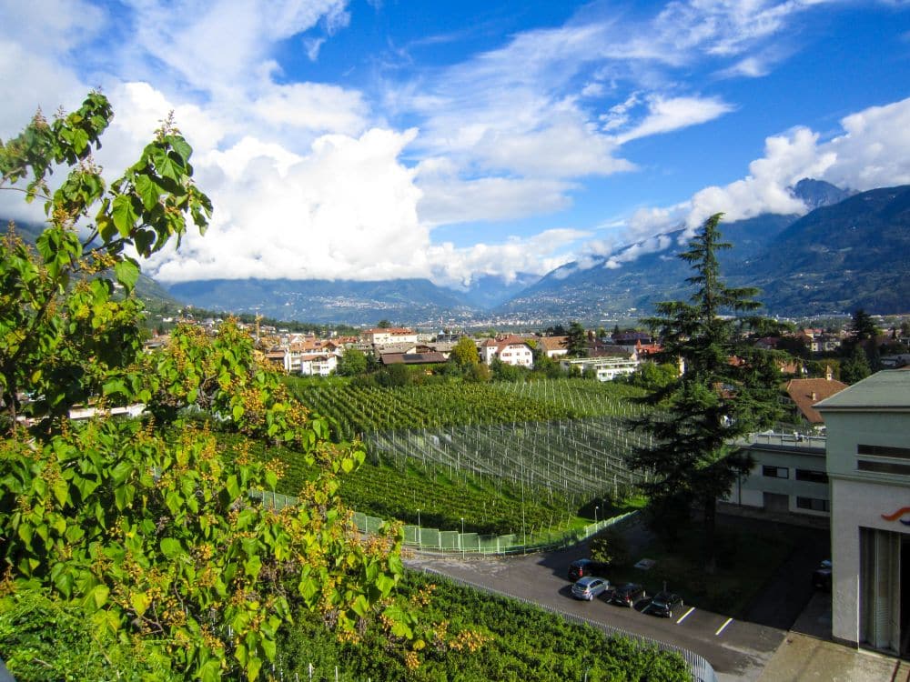 Blick auf einen grünen Weinberg am Brandiswaalweg mit umliegenden Bäumen, einer entfernten Stadt und hohen, wolkenbedeckten Bergen unter einem strahlend blauen Himmel. Im Vordergrund sind einige Gebäude und geparkte Autos zu sehen.