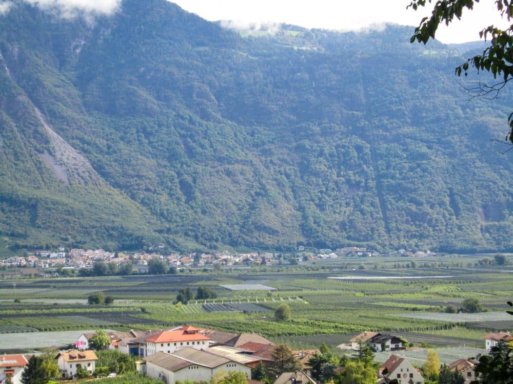 Ein malerischer Blick auf eine Stadt mit roten Dächern in einem grünen Tal am Brandiswaalweg, umgeben von Feldern und Weinbergen, mit bewaldeten Bergen im Hintergrund unter einem teilweise bewölkten Himmel.