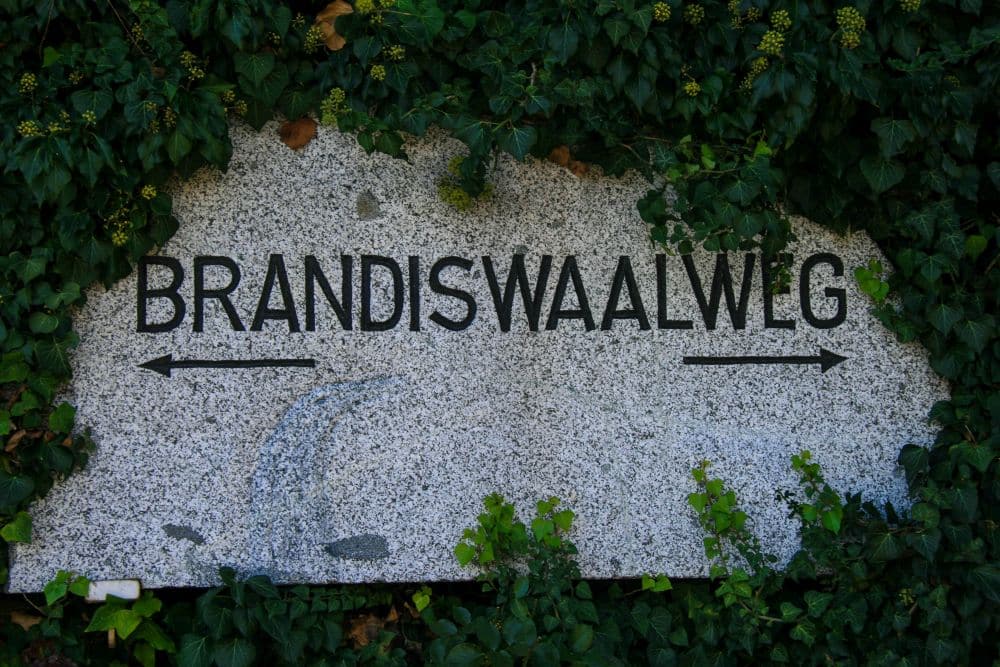 Ein steinernes, teilweise von grünem Efeu überwuchertes Straßenschild mit der Aufschrift BRANDISWAALWEG und nach links und rechts weisenden Pfeilen markiert den ruhigen Weg entlang des Brandiswaalwegs.