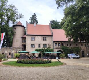 Hinter einem kreisrunden Garten mit Sitzgelegenheiten und grünen Sonnenschirmen steht ein historisches Steingebäude, das Schloss Aschach, mit einem runden Turm und rotem Ziegeldach. Bäume umgeben das Areal und laden die Besucher zu einer Zeitreise durch die Geschichte Unterfrankens ein.
