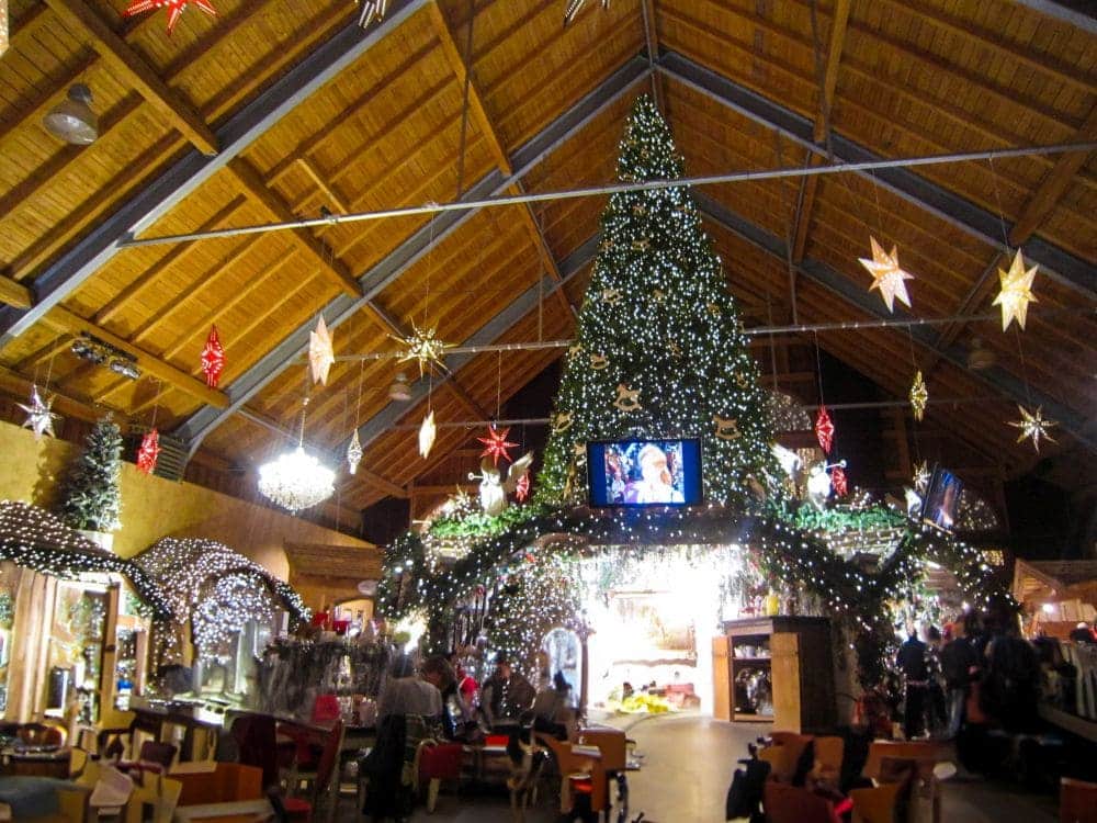 Die große Weihnachtsausstellung in Aiderbichl zeigt einen hohen, geschmückten Baum unter einem hölzernen Gewölbe mit hängenden Lichtersternen. Die Menschen sind um festliche Lichter, Ornamente und einen Fernseher über dem Baum versammelt.