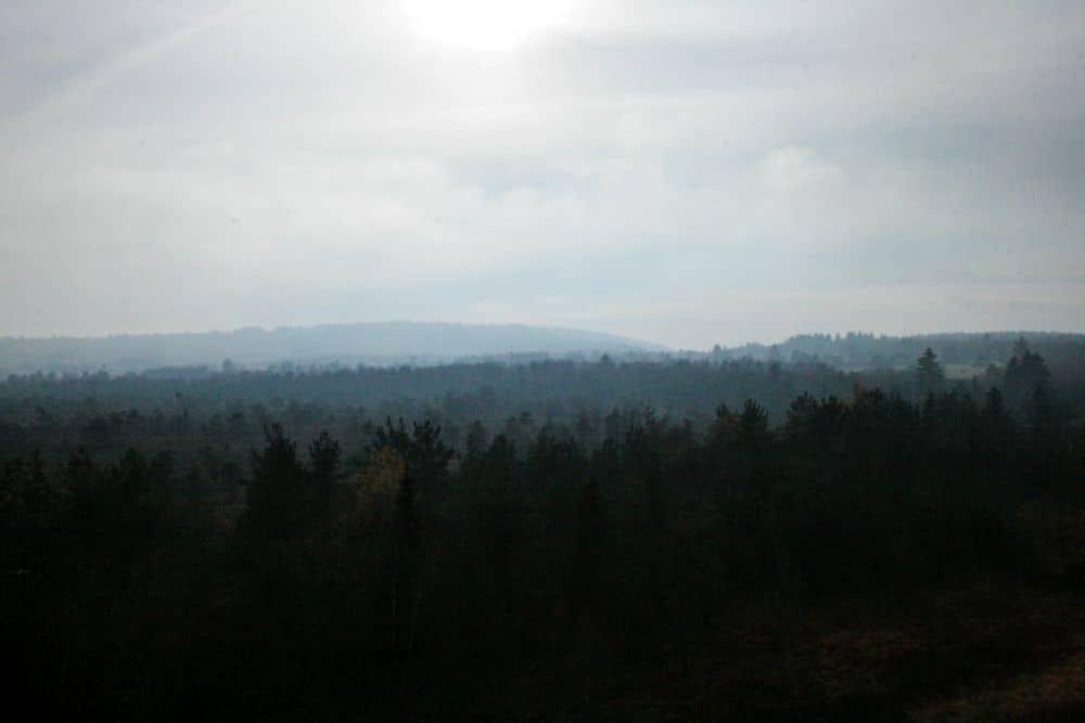 Eine dunstige Moorlandschaft mit dichten, dunkelgrünen Bäumen im Vordergrund und sanften Hügeln in der Ferne unter einem hellen, bedeckten Himmel, wobei die Sonne teilweise von Wolken verdeckt wird.