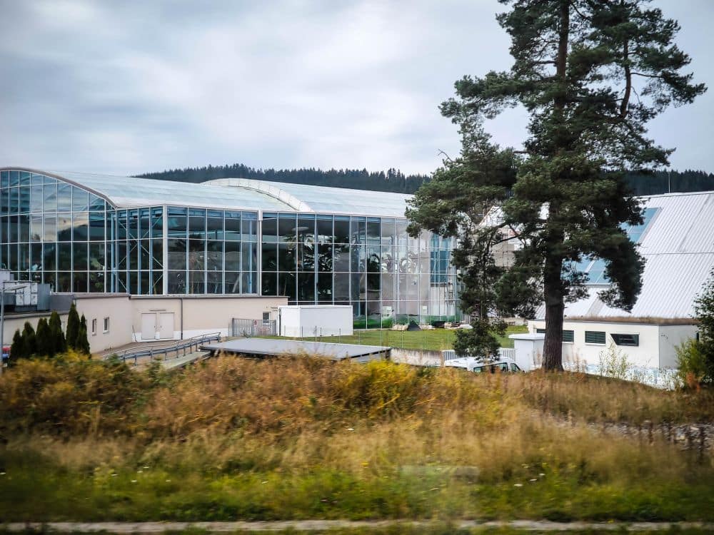 Ein modernes Glasgebäude mit kantigen Dächern steht hinter einer Wiese und einer hohen Kiefer in der Nähe des Titisees. Im Hintergrund sind bewaldete Hügel zu sehen, und der Himmel ist bewölkt.