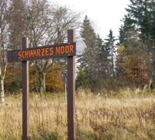Ein hölzernes Schild mit der Aufschrift "Schwarzes Moor" steht auf einer grasbewachsenen Wiese, umgeben von herbstlich gefärbten Bäumen und immergrünen Bäumen unter einem leicht bedeckten Himmel und markiert den Eingang zu diesem malerischen Moorgebiet.