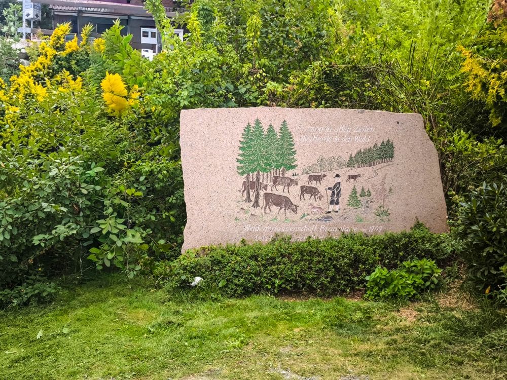 Ein großes Steindenkmal in Braunlage ist von grünen Sträuchern und Pflanzen umgeben und zeigt eine Waldszene mit Bäumen, Kühen und Menschen. Über und unter der Abbildung ist ein Text in deutscher Sprache eingraviert.