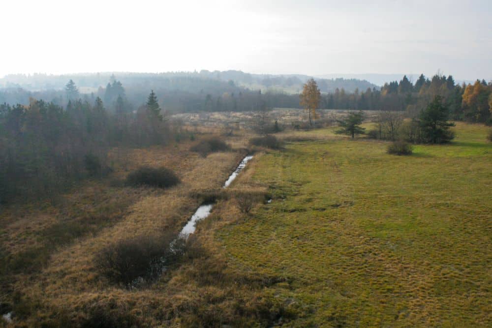 Eine grasbewachsene Moorlandschaft mit einem schmalen Bach, der durch ein Feld fließt, umgeben von Büschen und Bäumen. Der Himmel ist bedeckt, und im Hintergrund sind in der Ferne Hügel und Wälder zu sehen.