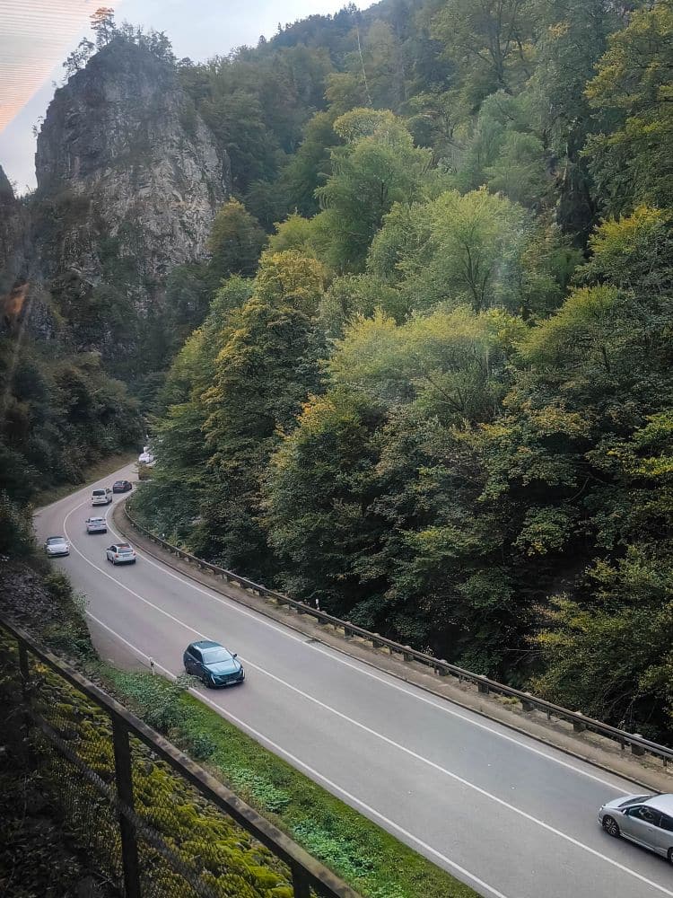 Eine kurvenreiche Straße führt durch die bewaldete, gebirgige Region in der Nähe des Titisees, auf der mehrere Autos fahren. Hohe Bäume mit grünem Laub säumen beide Seiten der Straße, während sich im Hintergrund felsige Klippen erheben.