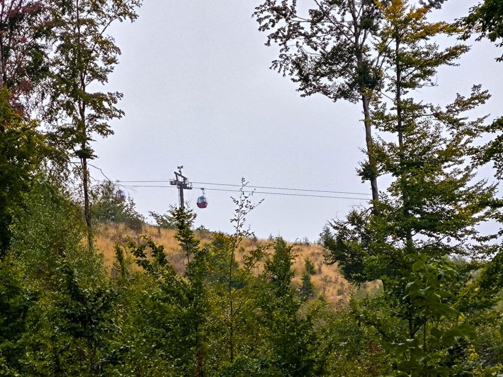 Eine rote Seilbahn fährt an einem Seil über einen Hang in Braunlage, umgeben von dichten grünen Bäumen unter einem bewölkten Himmel.
