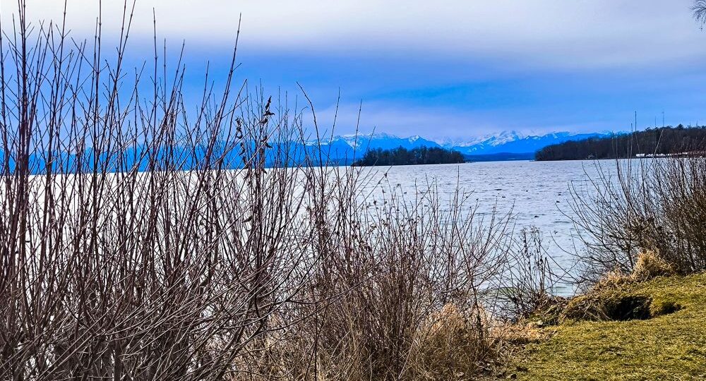 Kahle Sträucher und trockenes Gras säumen den Rand des Starnberger Sees unter einem wolkenverhangenen Himmel, am Horizont sind in der Ferne schneebedeckte Berge zu sehen.