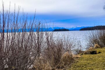 Kahle Sträucher und trockenes Gras säumen den Rand des Starnberger Sees unter einem wolkenverhangenen Himmel, am Horizont sind in der Ferne schneebedeckte Berge zu sehen.