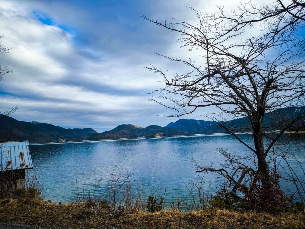 Ein ruhiger Walchensee mit klarem Wasser spiegelt einen wolkenverhangenen Himmel, umgeben von fernen Bergen. Ein blattloser Baum und ein kleines Gebäude mit einem Metalldach sind im Vordergrund am Ufer zu sehen.