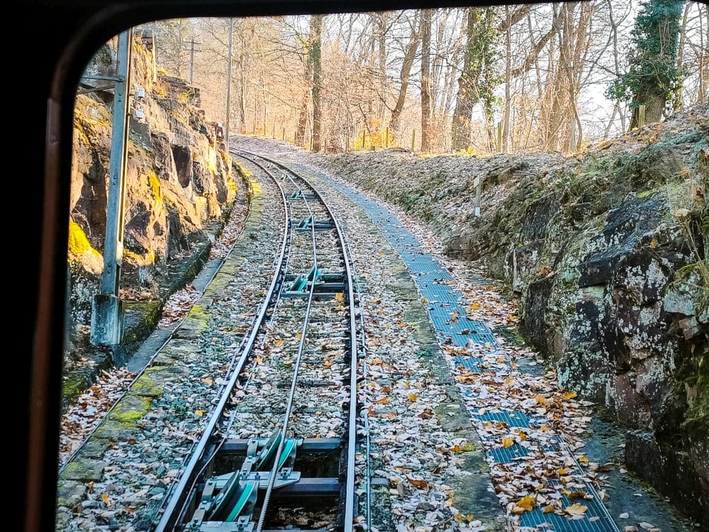 Blick aus dem Fenster einer Heidelberger Standseilbahn. Die Gleise schlängeln sich bergauf durch ein felsiges, bewaldetes Gebiet, in dem Laub auf den Gleisen und dem Boden verstreut ist.