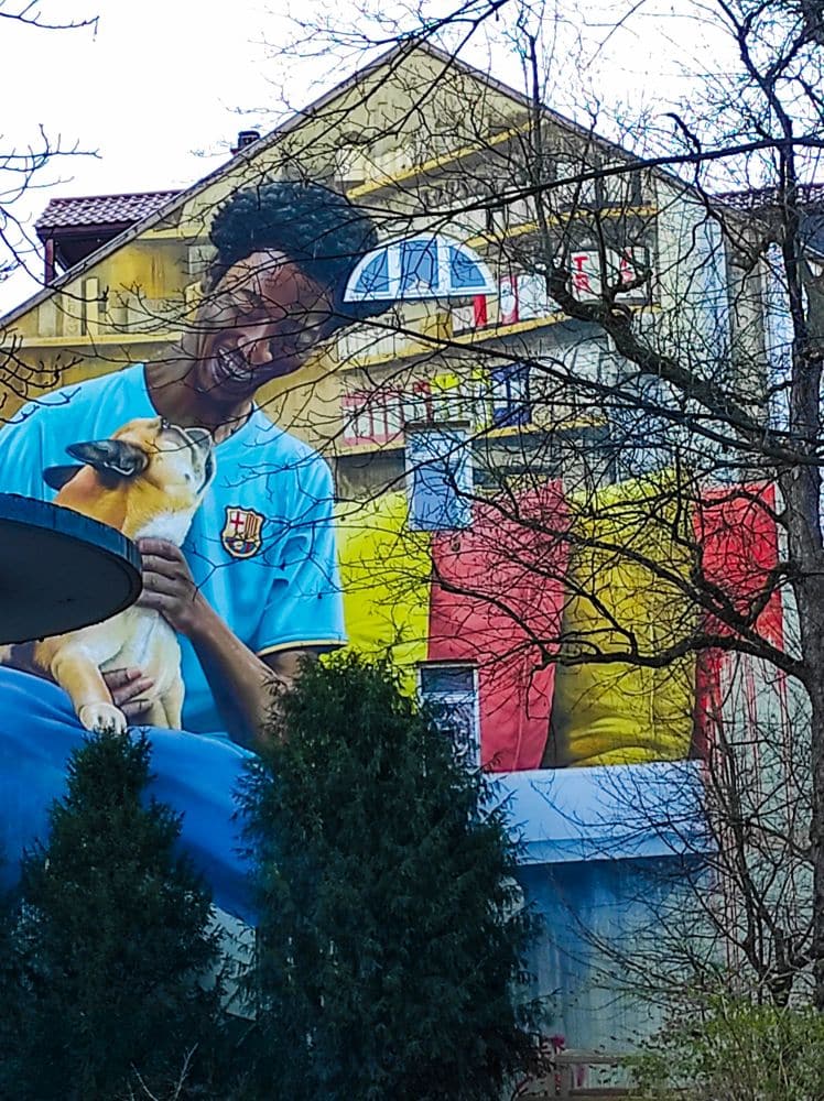 Ein großes Wandbild in Heidelberg zeigt eine lächelnde Person in einem blauen Sporthemd, die einen Hund streichelt. Bäume verdecken teilweise das Wandbild, und die Balkone des Gebäudes sind mit bunten Bannern geschmückt.