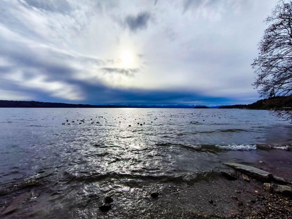 Sanfte Wellen plätschern unter einem bewölkten Himmel über den Starnberger See, die Sonne ist teilweise verdeckt. In der Ferne schwimmen Enten auf dem Wasser, während ein kahler Baumast den rechten Rand des Ufers einrahmt.