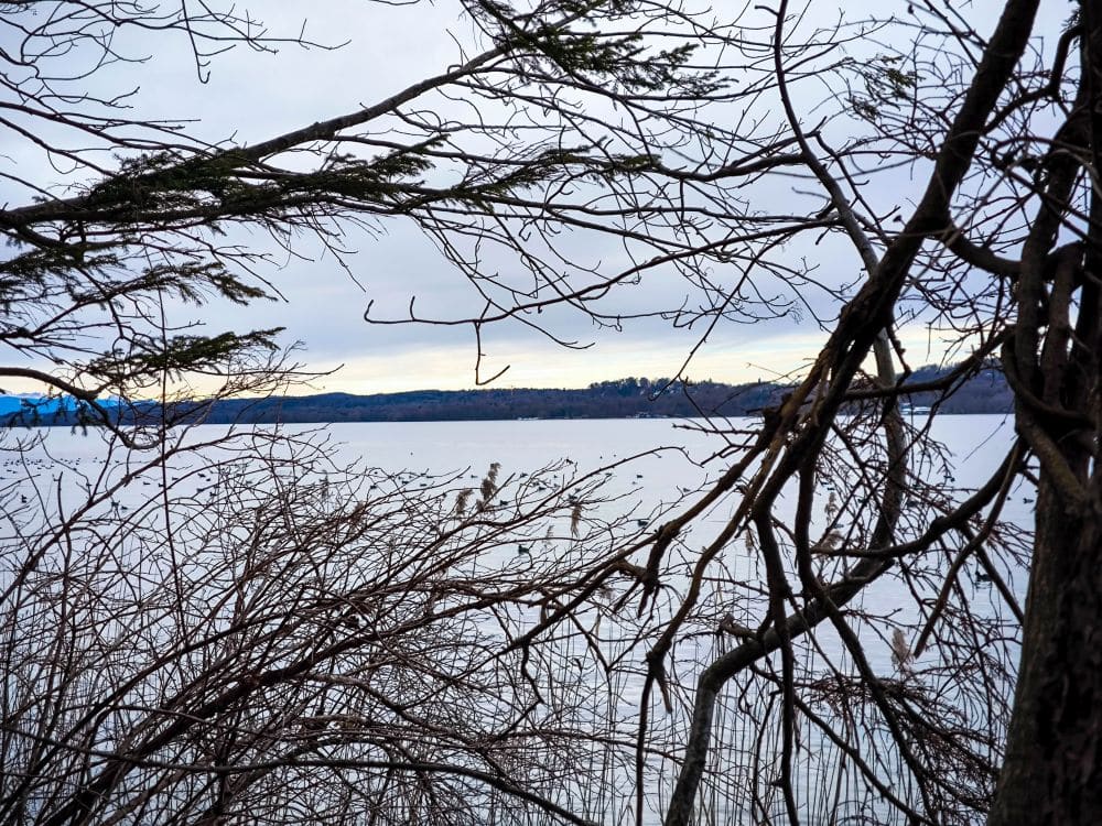 Laublose Äste rahmen den Blick auf den Starnberger See ein, einen ruhigen See unter einem bewölkten Himmel, mit weitem Land auf der anderen Seite des Wassers. Die Szene sieht friedlich und winterlich aus.