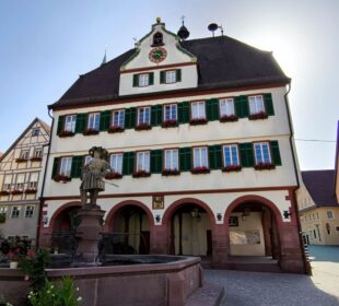 Ein historisches dreistöckiges Gebäude in Weil der Stadt mit grünen Fensterläden, Blumenkästen und einer Uhr an der Spitze; ein gewölbtes Erdgeschoss und eine Brunnenstatue stehen davor, Sonnenlicht scheint hinter dem Dach hervor.