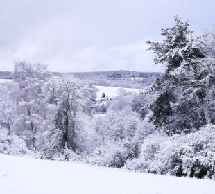 Schneebedeckte Bäume und Sträucher bedecken die hügelige Rhönlandschaft unter einem wolkenverhangenen Himmel und schaffen eine ruhige Winterszene mit weit entfernten sanften Hügeln und Feldern, die ebenfalls in Weiß gehüllt sind.
