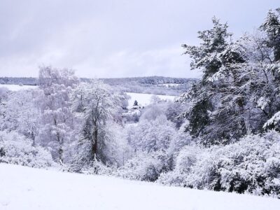 Schneebedeckte Bäume und Sträucher bedecken die hügelige Rhönlandschaft unter einem wolkenverhangenen Himmel und schaffen eine ruhige Winterszene mit weit entfernten sanften Hügeln und Feldern, die ebenfalls in Weiß gehüllt sind.