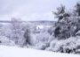Schneebedeckte Bäume und Sträucher bedecken die hügelige Rhönlandschaft unter einem wolkenverhangenen Himmel und schaffen eine ruhige Winterszene mit weit entfernten sanften Hügeln und Feldern, die ebenfalls in Weiß gehüllt sind.