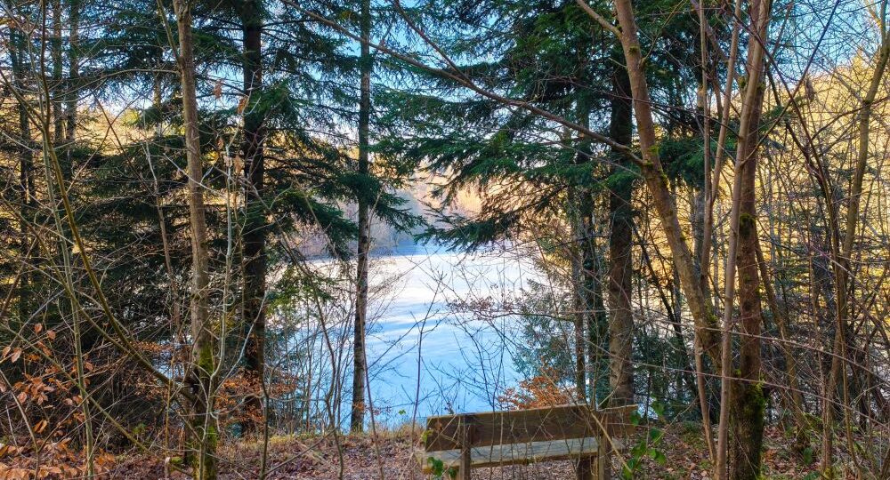 Eine hölzerne Bank steht zwischen Bäumen und herabgefallenen Blättern im Schurwald, mit Blick auf das ruhige blaue Wasser des Herrenbach-Stausees, das teilweise durch die Äste sichtbar ist, wenn das Sonnenlicht durch dieses friedliche Stück Natur fällt.