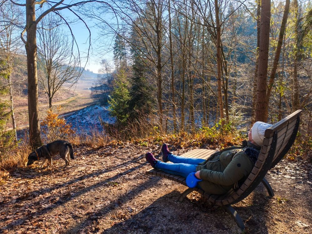 Eine Person in Wintermantel und Mütze entspannt sich auf einer geschwungenen Bank in einer Waldlichtung in der Nähe des Herrenbach-Stausees und genießt die Sonne. Ein Hund schnüffelt zwischen herabgefallenen Blättern am Boden, während die Szene einen Blick auf ein malerisches, nebliges Tal freigibt.