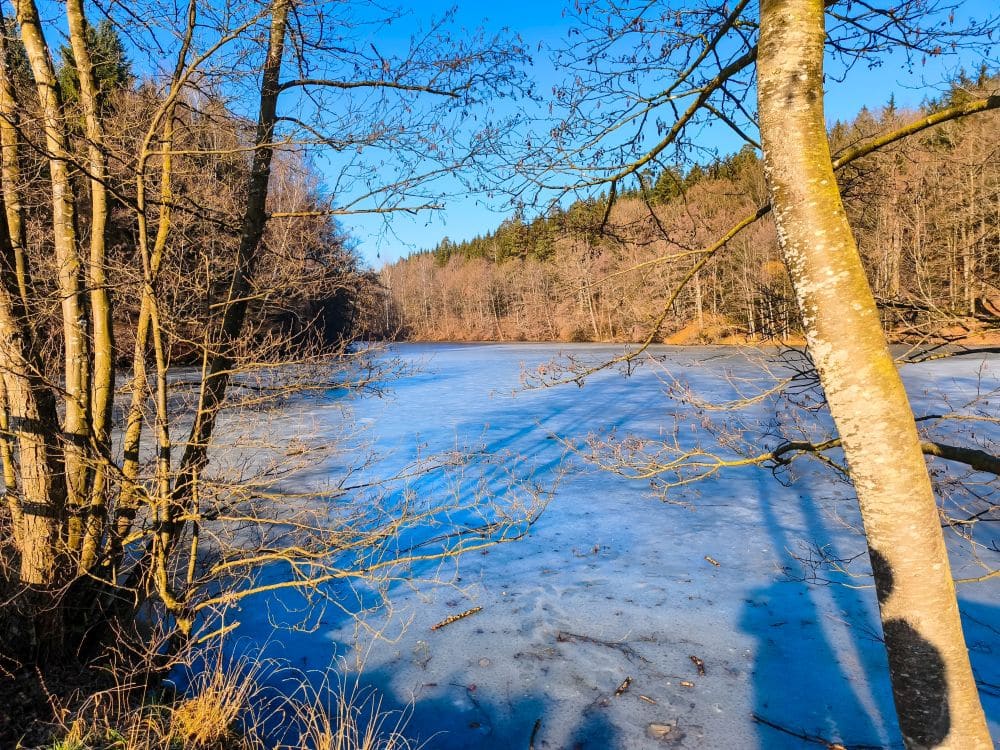 Ein zugefrorener See wie der Herrenbach-Stausee ist umgeben von kahlen Bäumen und Wäldern unter einem klaren, blauen Himmel, wobei das Sonnenlicht weiche Schatten auf die eisige Oberfläche wirft.