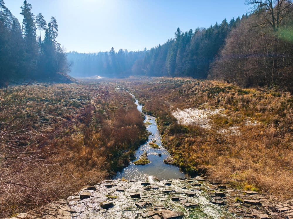 Ein schmaler Bach fließt durch ein sonnenbeschienenes Tal in der Nähe des Herrenbach-Stausees, umgeben von dichten Wäldern und grasbewachsener, brauner Vegetation, mit einem klaren blauen Himmel über dem Bild und einem steinigen Vordergrund am unteren Bildrand.