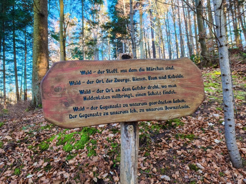 Ein Holzschild mit deutschem Text steht in einem sonnenbeschienenen Wald in der Nähe des Herrenbach-Stausees. Gefallene Blätter und Moos bedecken den Boden, während hohe Bäume mit dünnen Stämmen die friedliche Gegend im Hintergrund umgeben.