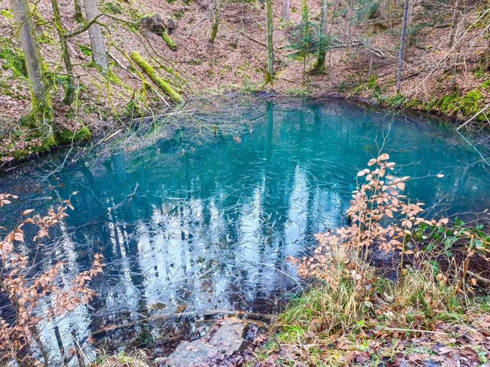 Ein kleiner, klarer, türkisfarbener Teich in der Nähe des Herrenbach-Stausees ist von Bäumen mit moosbewachsenen Stämmen und braunem Herbstlaub umgeben; Äste und Laub spiegeln sich im Wasser.